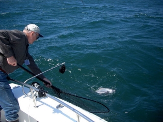 Pesca desde embarcación